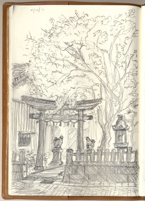 sakura sketch