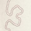 Kamisubaku